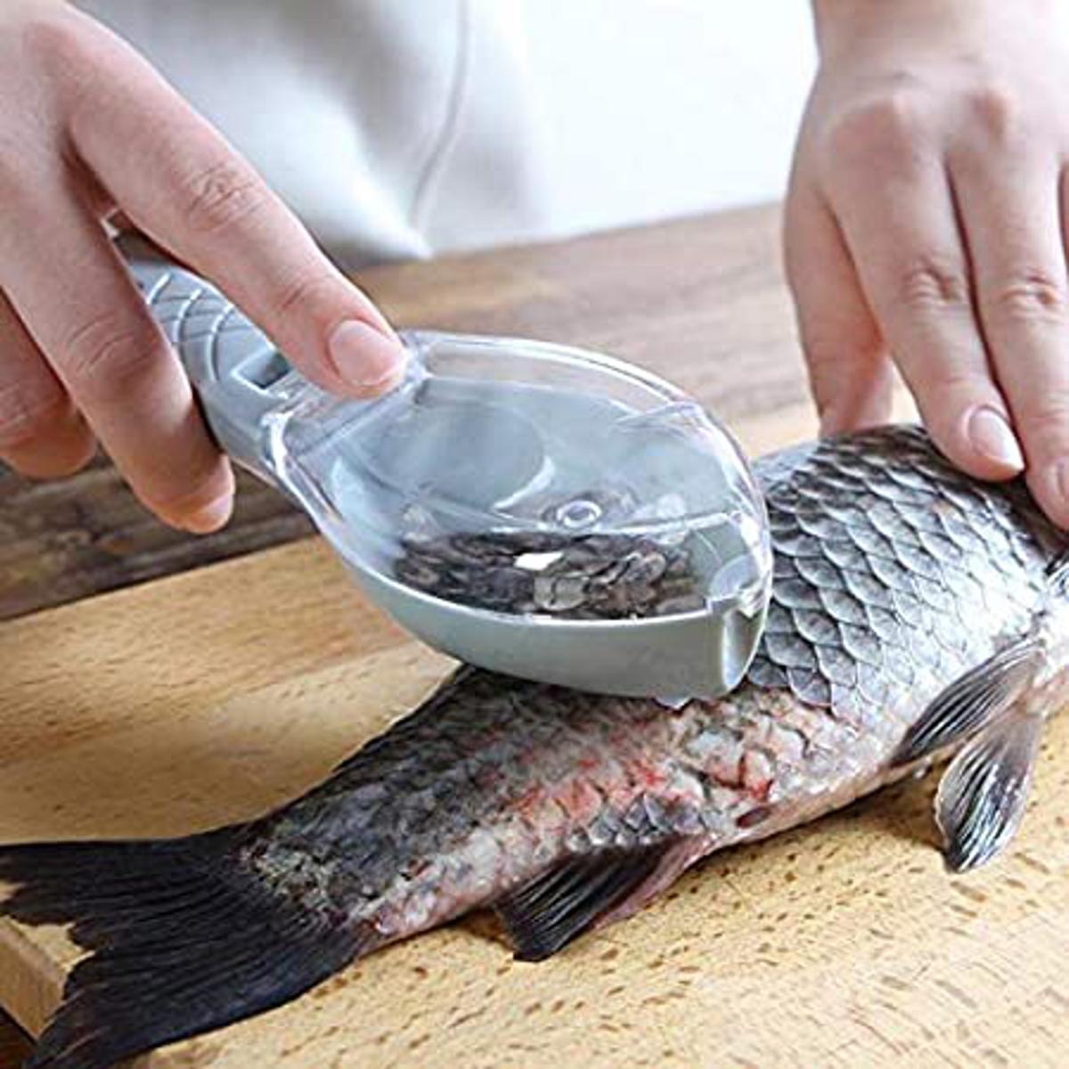 Fish Scraping Fishing Scale Brush Greater Quickly Removes Fish Cooking Equipment