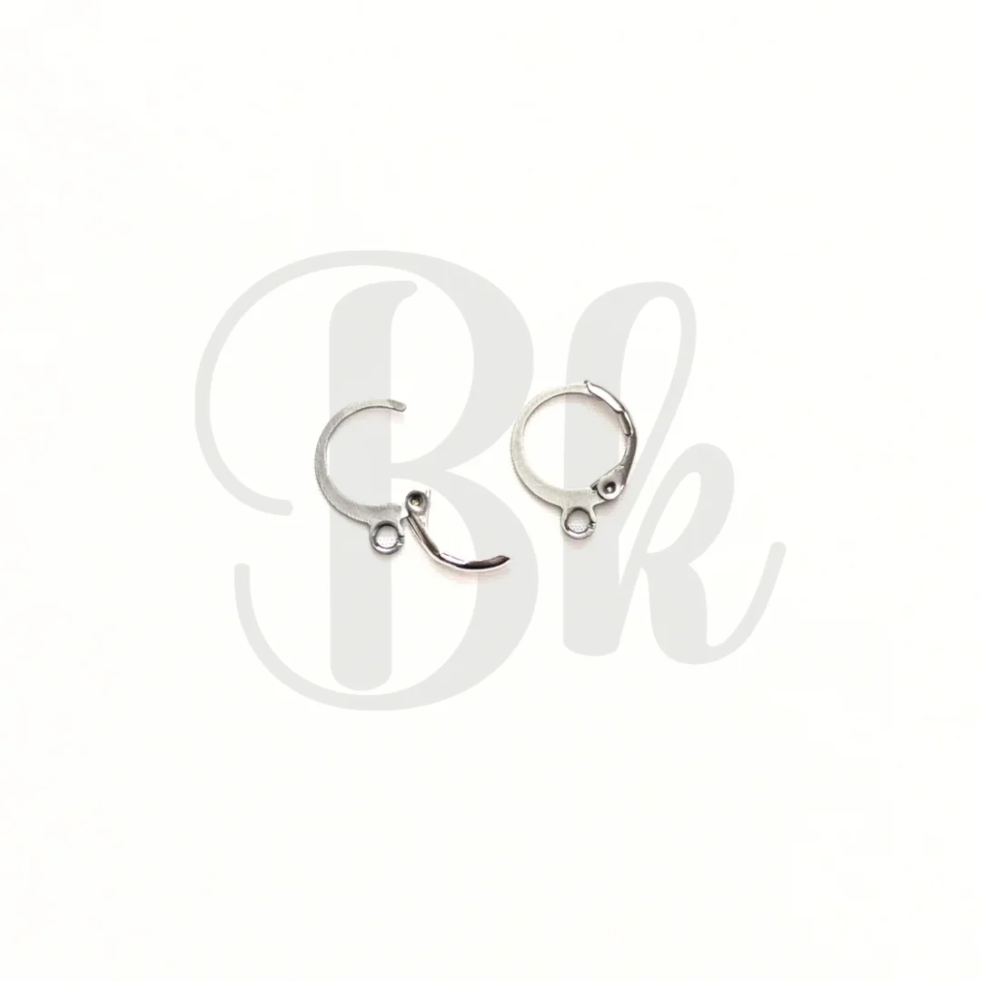 Hoop Earring Hook